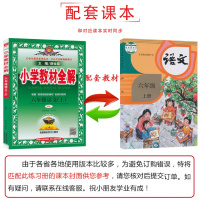 2019薛金星小学教材全解六年级上册语文教材全解 人教版RJ小学生6年级课本同步讲解训练习解读析