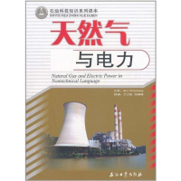 音像天然气与电力安.查波丝著