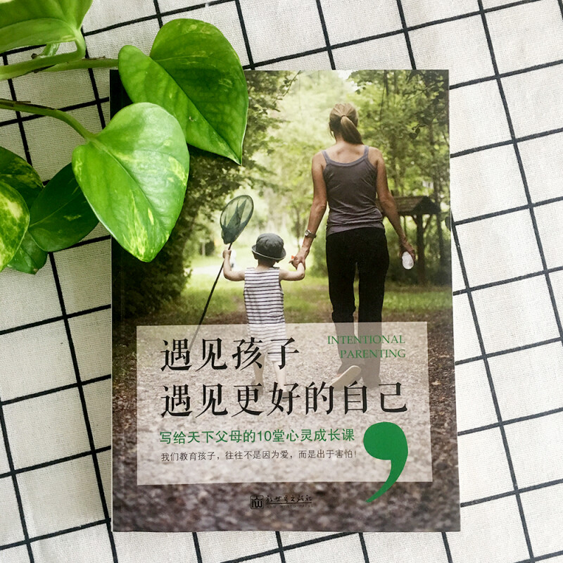 [正版]遇见孩子,遇见更好的自己亲子关系家庭教育家教育儿早教0-12岁给孩子一个好性格孩子是个哲学家情商教育书籍 正面管高清大图