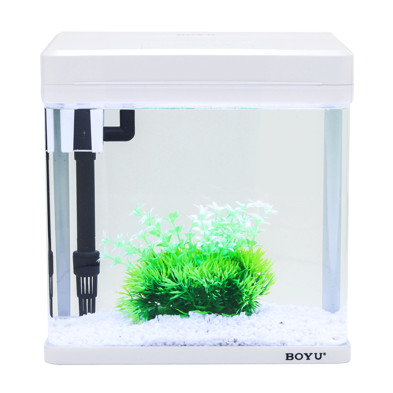 鱼缸水族箱小型迷你桌面生态造景观赏鱼免换水金鱼缸家用客厅高清大图