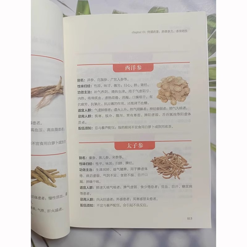 [正版]全4册国医大师的养生汤 +养生豆浆+192种防病药茶+百病食疗中医养生大全食谱养生汤调理四季家庭营养健康保健饮食高清大图