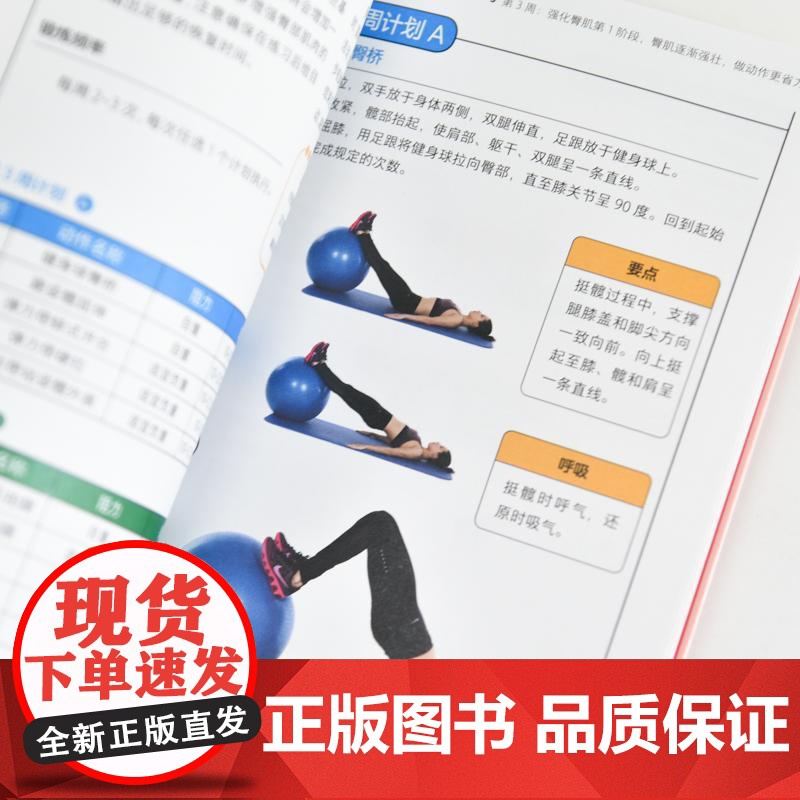 唤醒失忆臀肌 4周激活强化训练 重启最强运动发动机 臀部训练练臀蜜桃臀 产后身体革命 好身材改变一生书 变美书籍高清大图