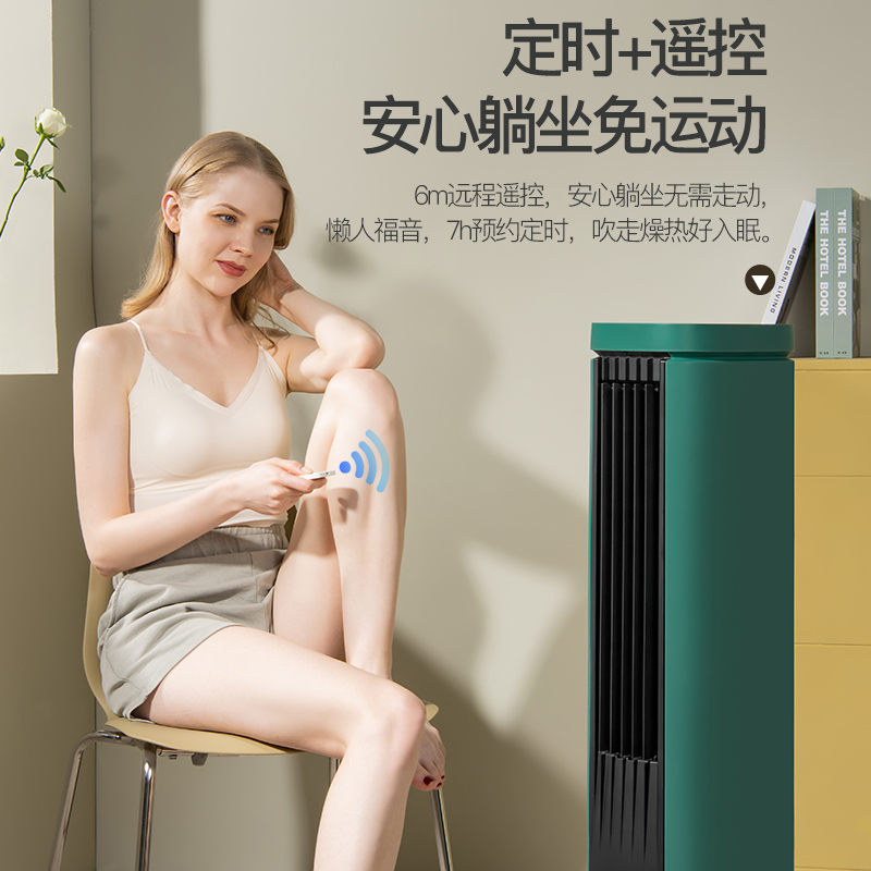 先锋(SINGFUN)空调扇电风扇水冷塔扇家用遥控冷风机等离子净化无叶风扇 DTS-S5R