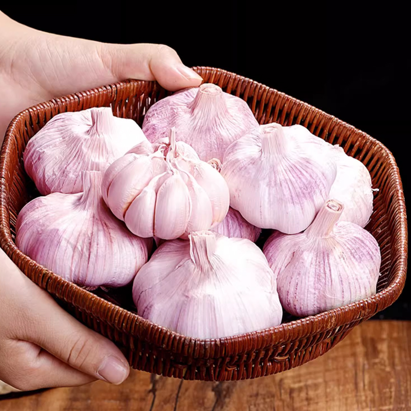 [西沛生鲜]河南新鲜紫皮分蒜 干大蒜 多瓣大蒜 带箱5斤 中果 农家蔬菜 产地直发高清大图