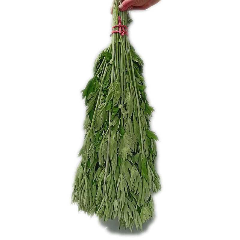 新鲜野生整颗艾草艾叶长棵艾叶草端午节挂门上整把全株艾草叶驱蚊晒干