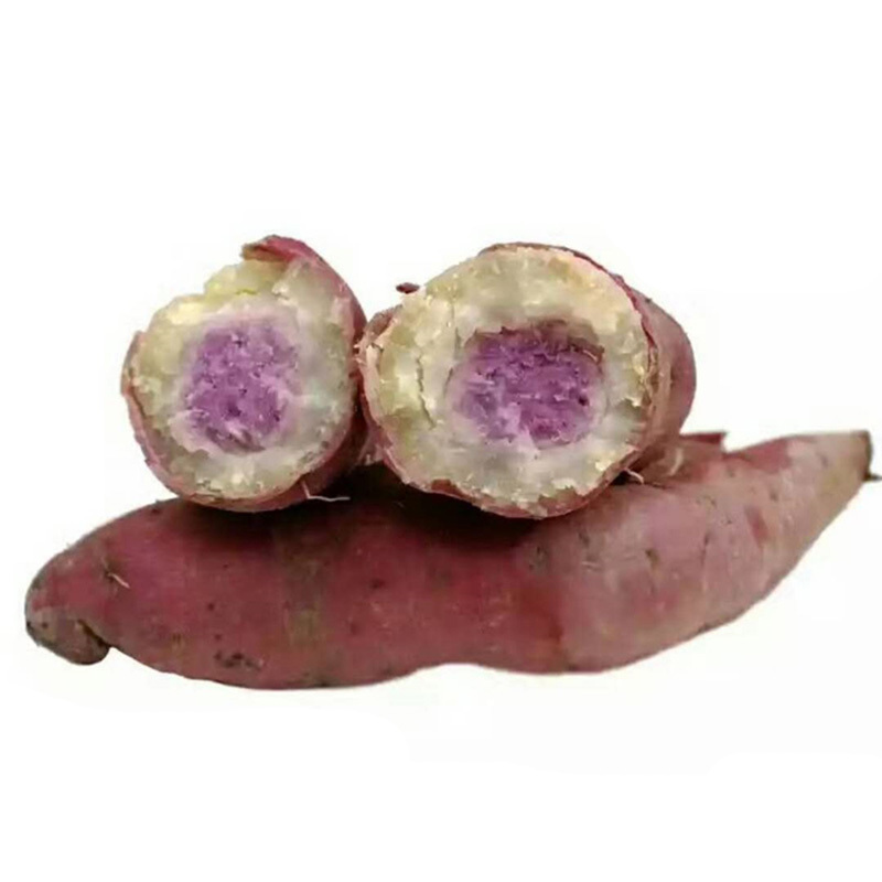 广东新鲜板栗红薯 冰激凌薯一点红番薯爆皮红薯地瓜紫薯山芋 2.5kg