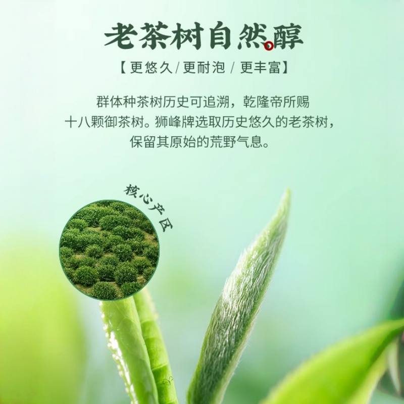 2025新茶狮峰牌精选老茶树龙井茶特级江南纸包250g春绿茶高清大图
