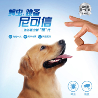 NexGard尼可信2-4kg小型犬用口服狗狗体外驱虫药狗除虱子跳蚤蜱虫药 小型粒犬（2-4kg犬用）单粒