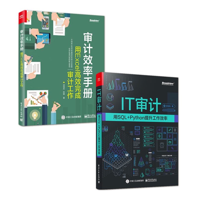 [正版]全2本审计效率手册:用Excel高效完成审计工作+IT审计 用SQL+Python提升工作效率 SQL基础实战数高清大图