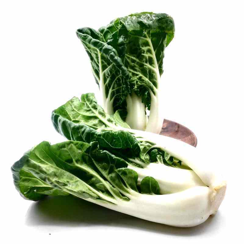 XJ】奶油白菜500g 奶白菜小白菜新鲜蔬菜日天生鲜可开发票【价格