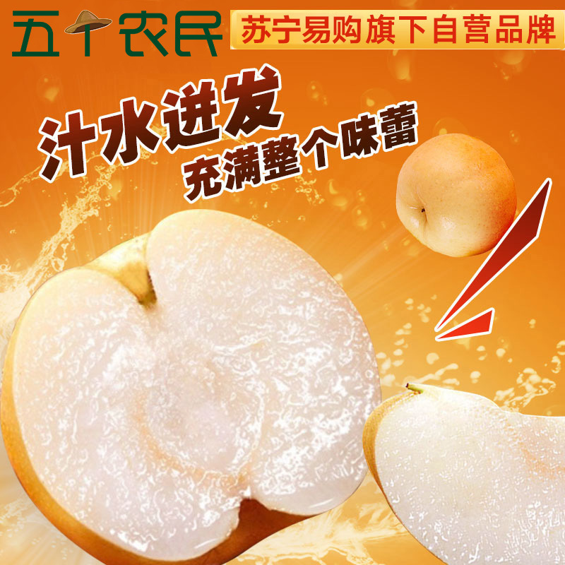 [五个农民]山东莱阳秋月梨精品礼盒装 6枚特大果4.5-5斤装 当季新鲜水果梨子年货礼盒
