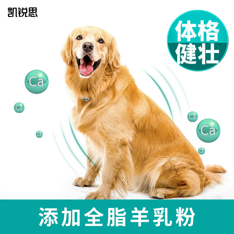 凯锐思金毛狗粮幼犬成犬专用中大型犬专用粮补钙3-6个月补钙4斤