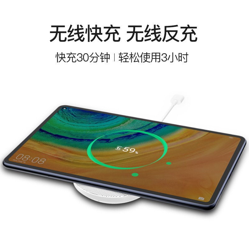 HUAWEI MatePad Pro 5G 10.8英寸智能通话平板电脑 8GB+256GB 通话版