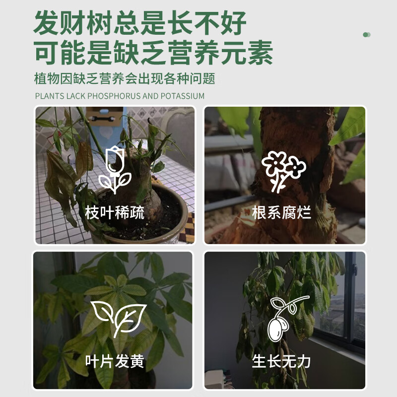 Zhongyzn 尚洋发财树专用植物营养液500mL花卉盆栽发黄掉叶水培绿植有机花肥料高清大图