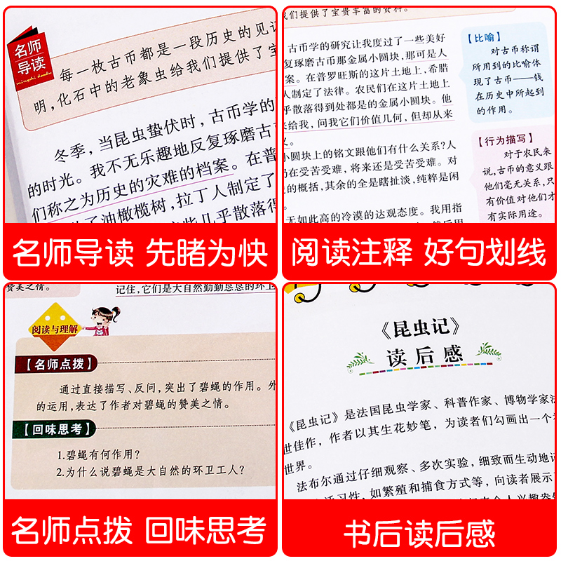 欧洲民间故事 [正版]昆虫记完整版法布尔原著小学生三四五六年级必读课外阅读书籍彩图老师6-7-8-9-12岁初中生青少年高清大图
