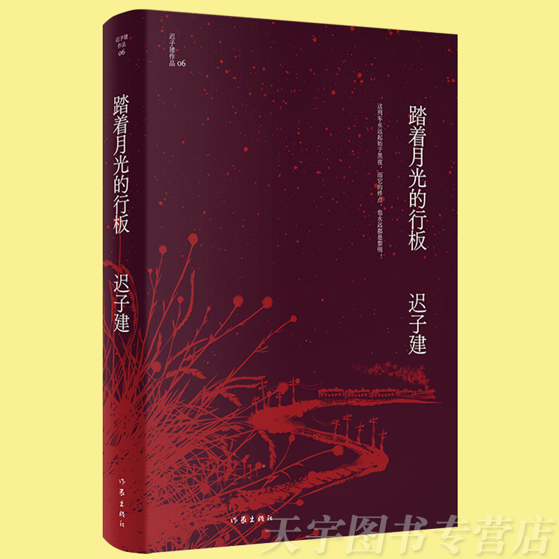 [正版] 踏着月光的行板 迟子建作品 茅盾文学奖 鲁迅文学奖 四个各具魅力的情爱世界 当代文学短篇小说故事集书 作家