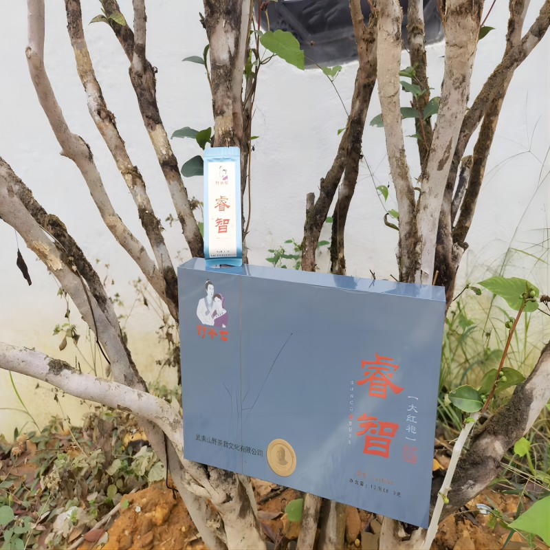 野茶君 茶叶 大红袍(睿智)330g