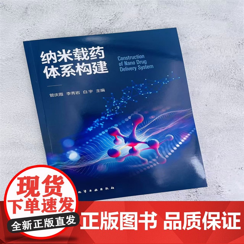 纳米载药体系构建高清大图