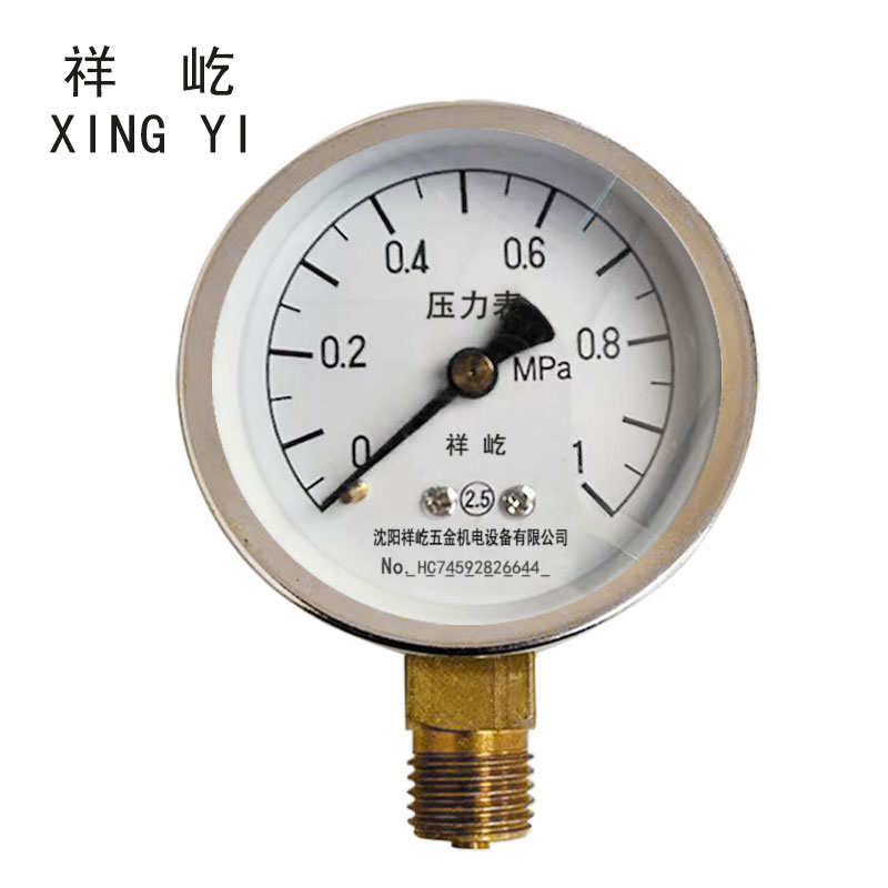祥屹 压力表检测定制型 Y40 块 0-1.0Mpa