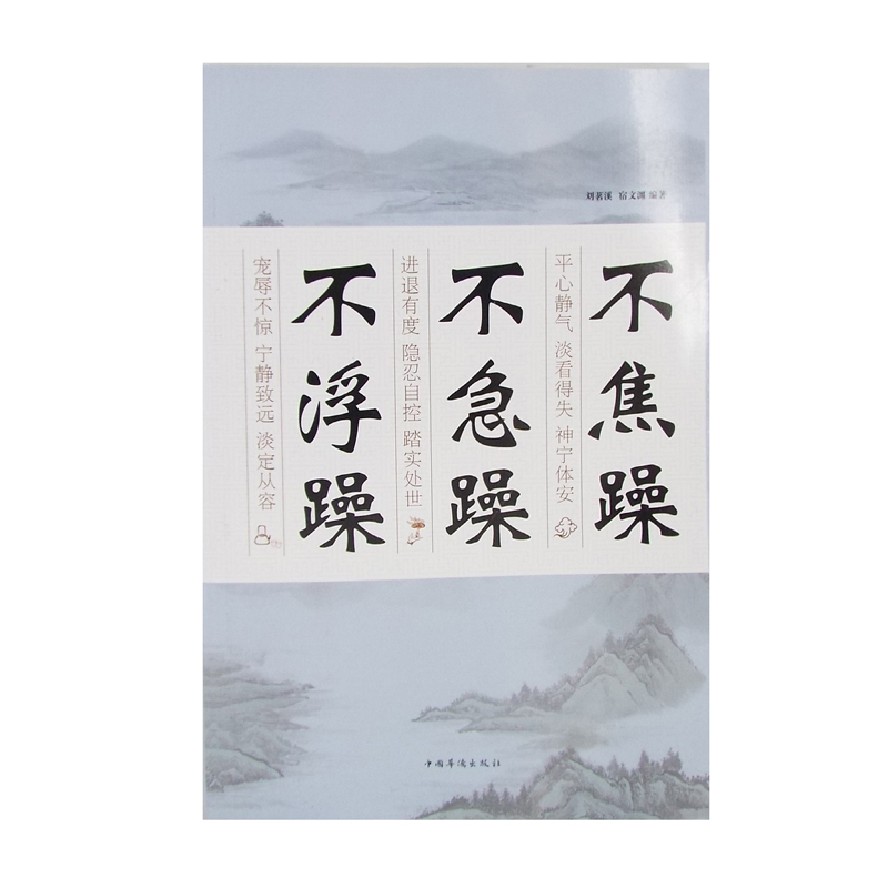 [正版]不焦躁不急躁不浮躁 献给焦躁不安困惑迷茫的年轻人 淡定于心