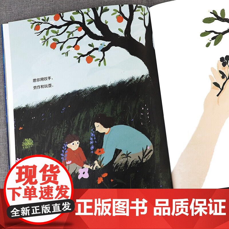 正版图书 在爱的怀里(魔法象·图画书王国) 陈赛 译者卤猫绘者著者[英]道恩凯西 9787559836878高清大图