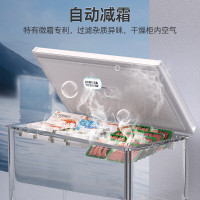 星星(XINGX)BD/BC-303QE家用小型冰柜 卧式冷柜预涂内胆单温厨房商用保鲜设备303升自动减霜1级能效