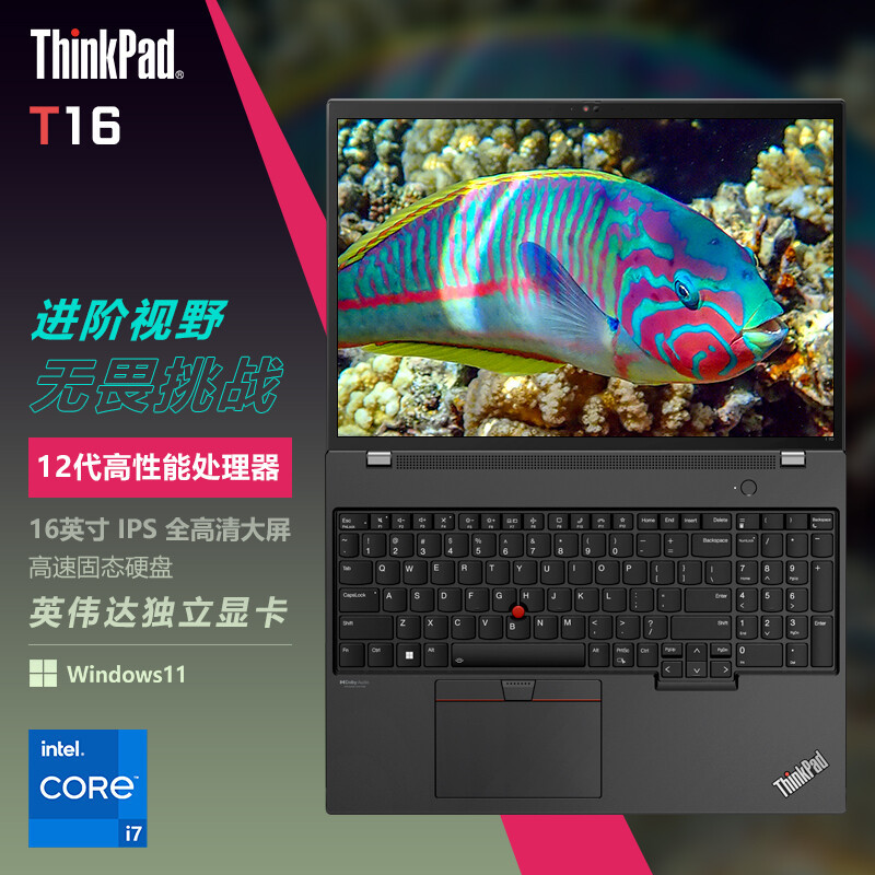 ThinkPad 联想T16 01CD 2022款 16英寸 高性能设计师办公笔记本电脑(I7-1260P 16G 1TB固态 MX550 )4G版 订制版