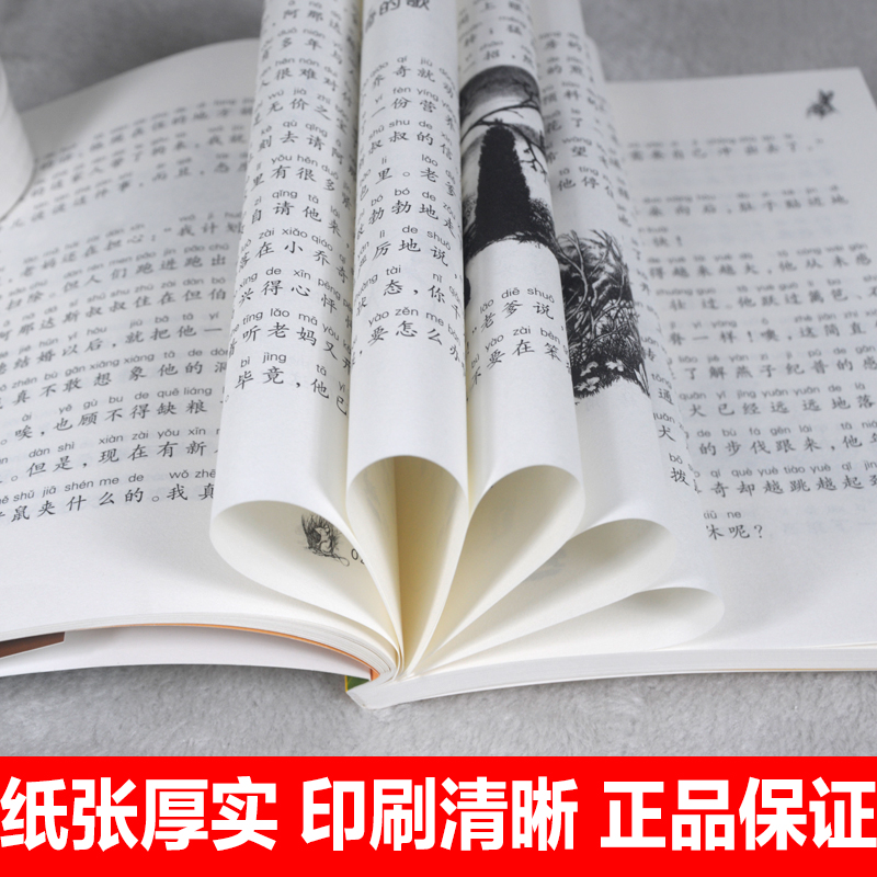 [国际大奖注音版2]全套5册 [正版]新蕾出版社坡注音版国际大奖小说小学生一二三年级课外书必读下册老师阅读外国儿高清大图