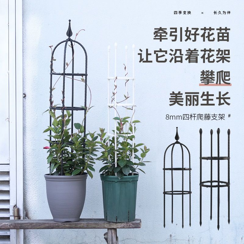 园艺爬藤花支架植物月季铁线莲紫藤支架攀爬花架阳台支撑架8mm 简约(黑色) 直径15高60cm-圈2个