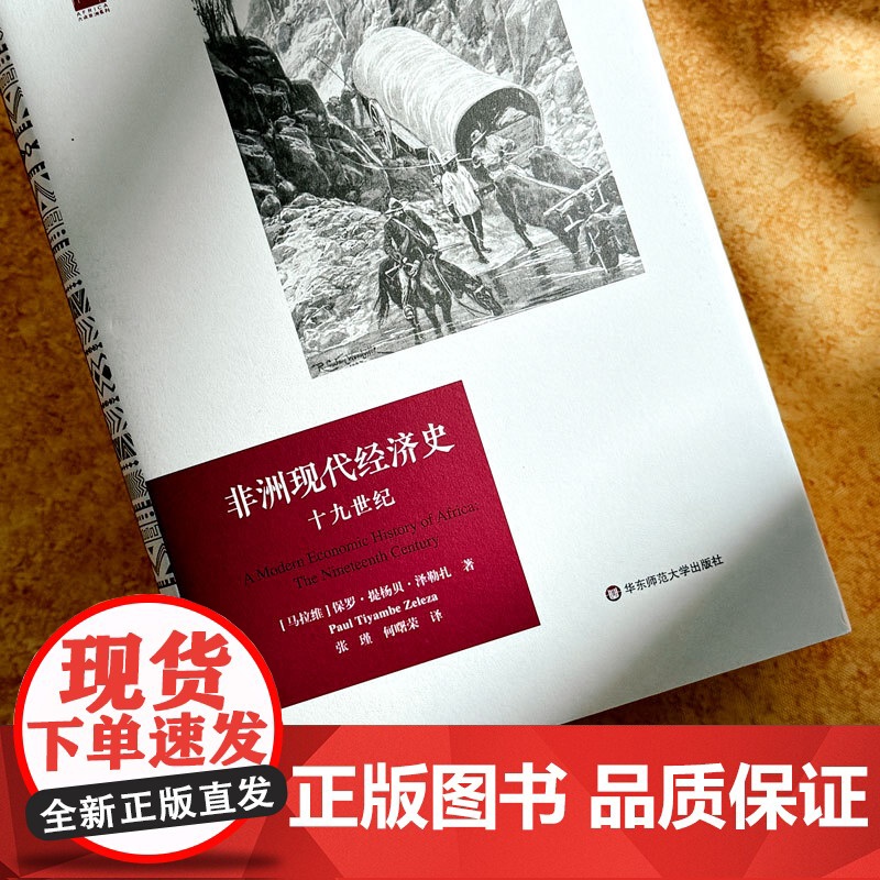 非洲现代经济史 十九世纪 六点非洲系列 精装 非洲历史研究 华东师范大学出版社高清大图