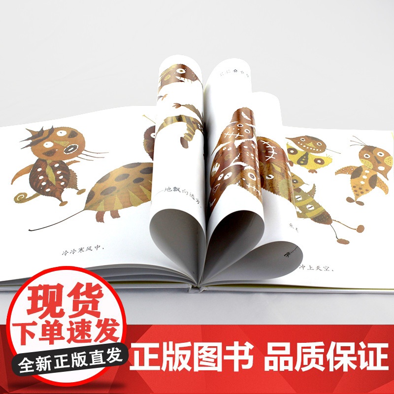 落叶跳舞硬壳精装图画书蒲蒲兰绘本幼儿园儿童启蒙认知宝宝故事图画书1-2-3-4岁以上亲子共读正版童书高清大图