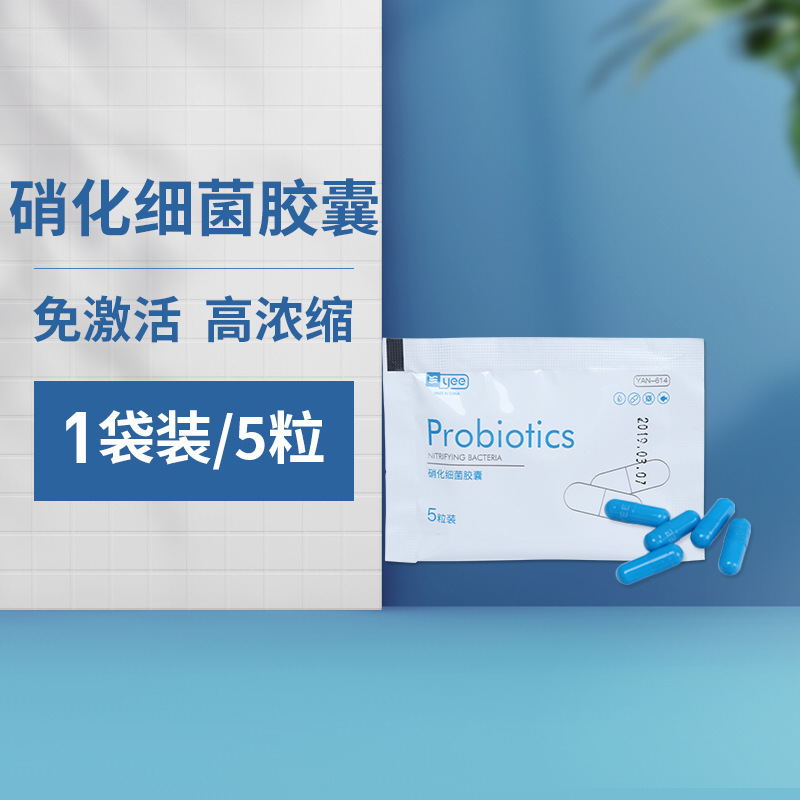 YEE 生物硝化细菌胶囊 搭配菌粮 鱼缸用水族养鱼用品消化细菌 水族世界
