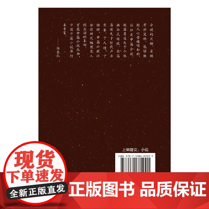 书匠(百花中篇小说丛书)高清大图