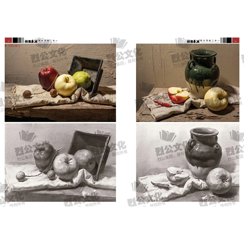 醉染正版]绘画基础2照片二合一2023烈公文化素描教学名师精选从几何体到