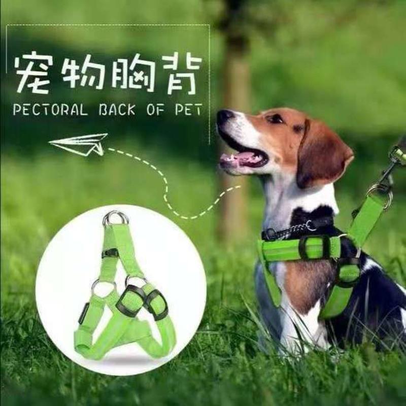狗狗牵引绳背心式LED发光胸背泰迪牵引绳宠物夜光狗绳小型USB充电 红色-胸背带+不发光牵引绳 电池-S码(斤数:5-8