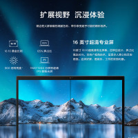 联想ThinkPad T16 英特尔酷睿i5 16英寸高性能轻薄商务本(i5-1240P/32G/1TB/MX550/指纹识别/高色域)