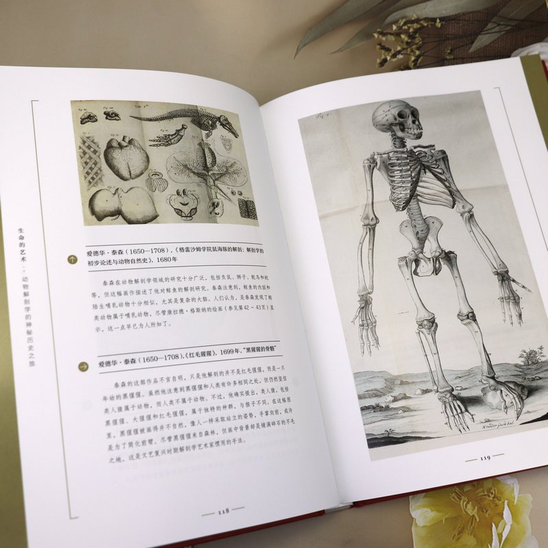 [正版]精装生命的艺术:动物解剖学的神秘历史之旅 动物解剖知识及艺术之旅牛津艺用动物解剖学书籍