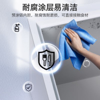 星星(XINGX)BD/BC-303QE家用小型冰柜 卧式冷柜预涂内胆单温厨房商用保鲜设备303升自动减霜1级能效