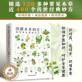 【醉染正版】正版 图解本草纲目极简养生速查全书 中草药鉴别功效科普百科大全 中医基础知识 超多种常用常见科