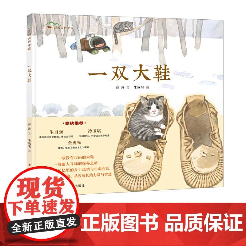 我的山野中国-一双大鞋图片