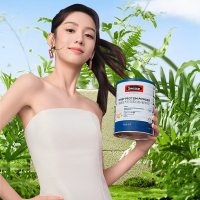 [精美礼盒]Swisse斯维诗乳清蛋白粉香草味450g*2罐蛋白质粉健身运动粉 送长辈礼品