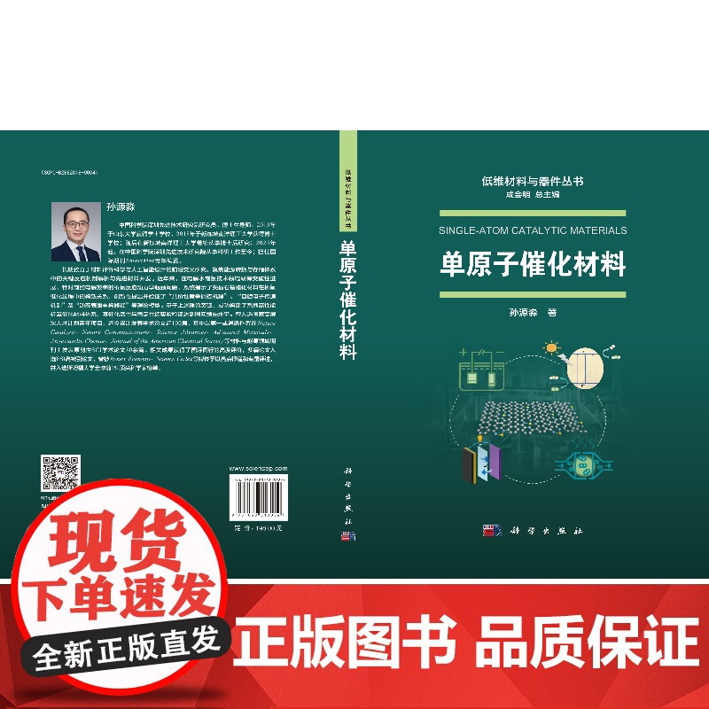 单原子催化材料 低维材料与器件丛书 科学出版社高清大图