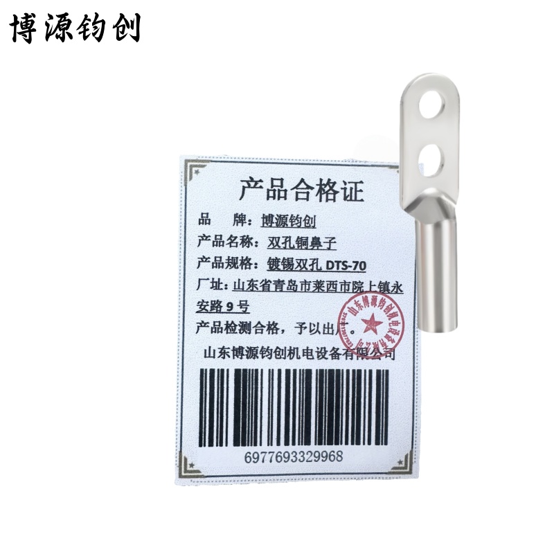 博源钧创 双孔铜鼻子 镀锡双孔DTS-70 个高清大图