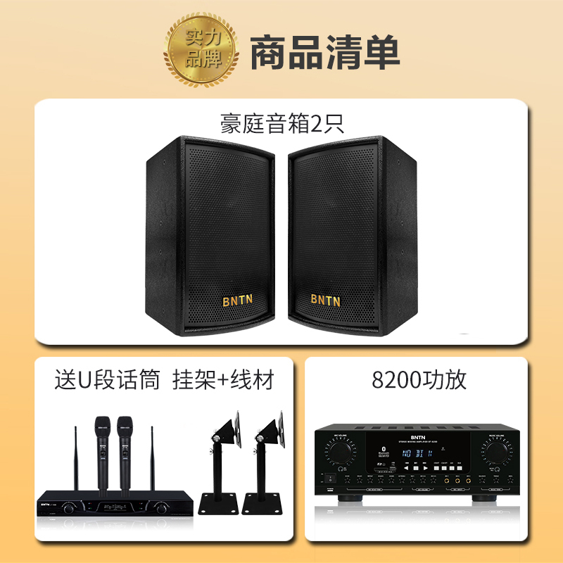 奔腾(BNTN)家庭KTV音响套装家用卡包功放卡拉OK无线U段话筒麦克风客厅小型唱歌k歌会议室演出8200配豪庭音箱