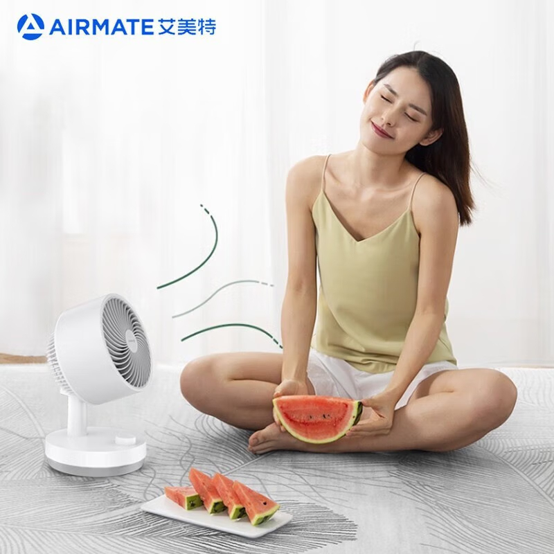 艾美特(Airmate)机械台式循环扇 办公室桌面电风扇 FA15-X40高清大图