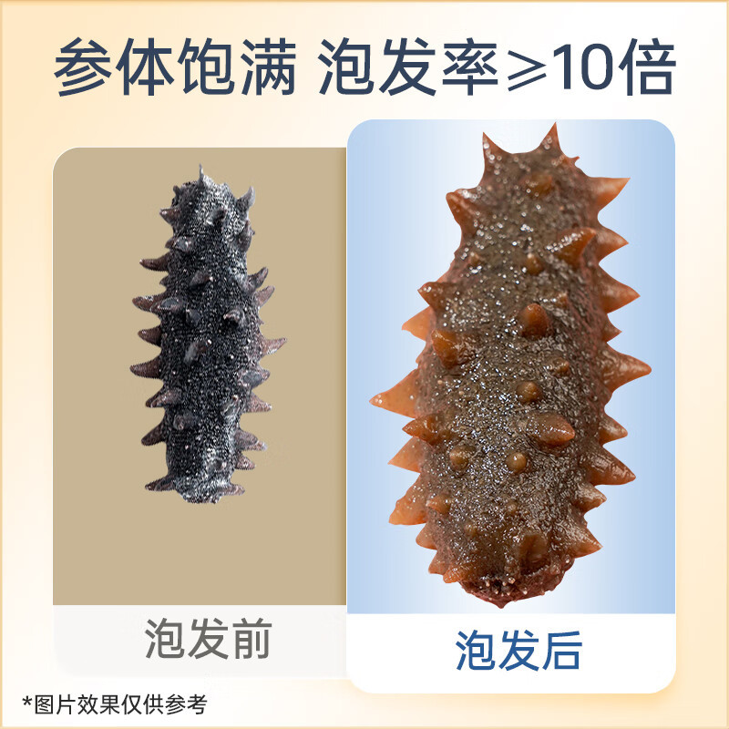 雷允上 淡干海参50g约20-24只