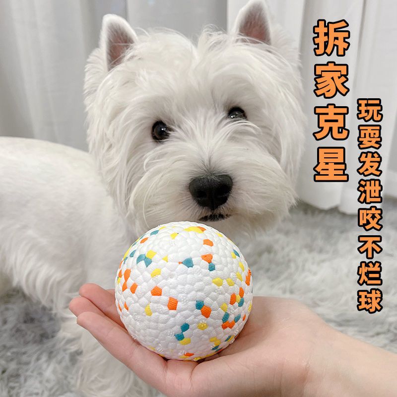 狗狗玩具耐咬弹力球实心球狗的生活用品宠物磨牙球球泰迪解闷神器 红橙蓝[6CM咬不烂球]-小号 [耐咬高弹性可浮水]