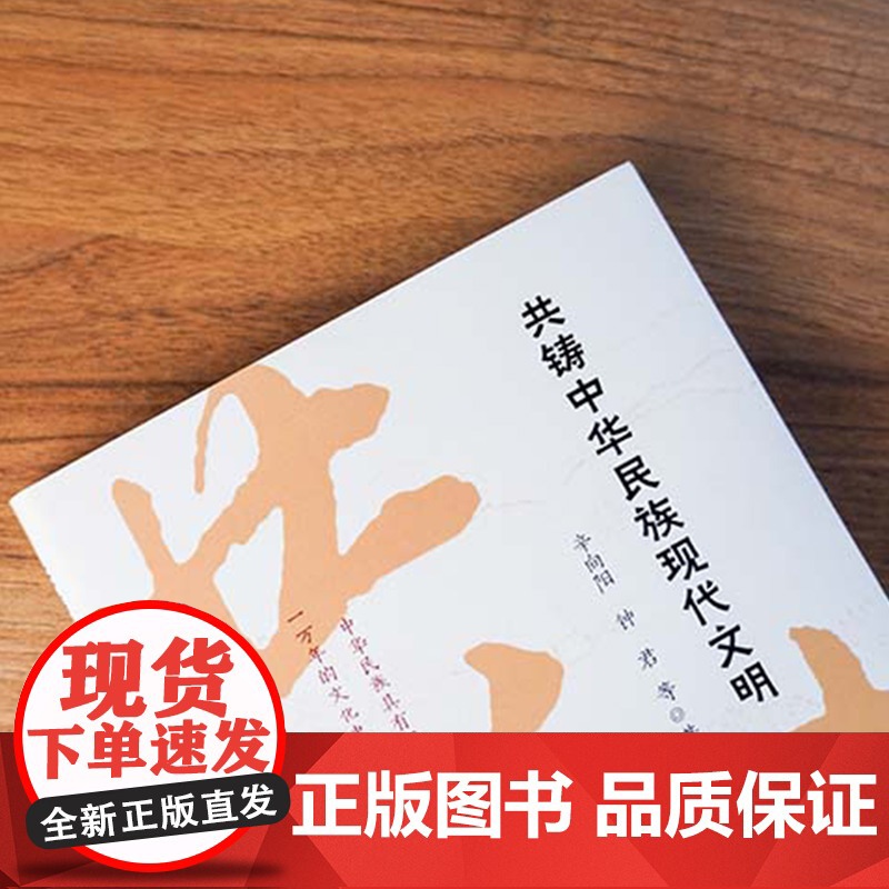 [正版]共铸中华民族现代文明(辛向阳钟君领衔原创专著,涵盖核心知识点,金句随处可见,通俗易懂,干货不断)湖南人民出版社高清大图