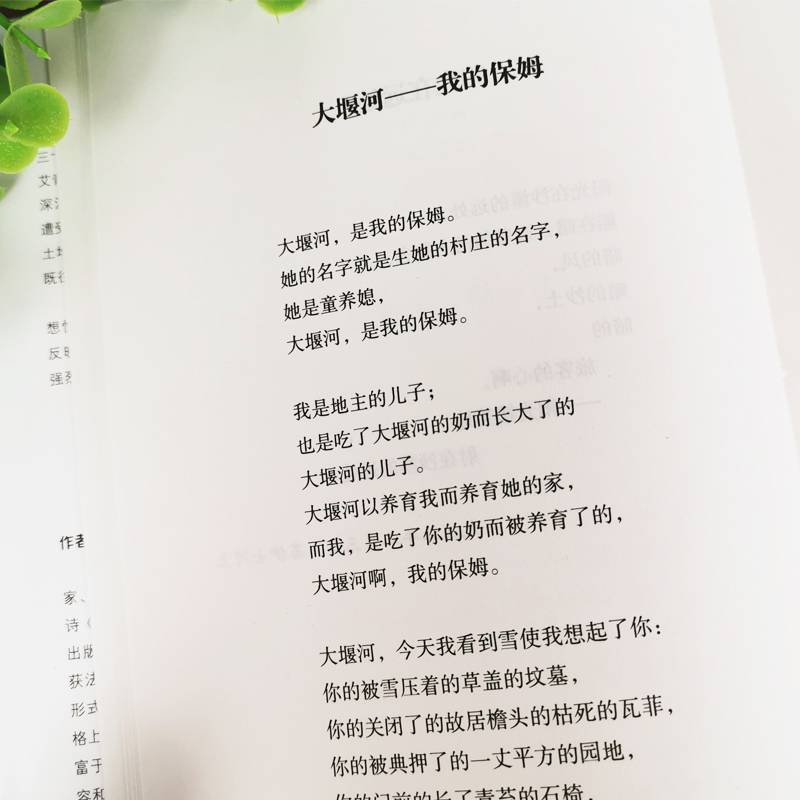 [赠考点]艾青诗选 [正版]艾青诗选九年级阅读书目艾青诗选水浒传人民教育初中生出版社青少年中学生课外阅读书籍读物 世界名高清大图