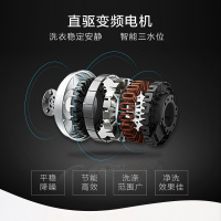 美的（Midea） MB80V31D 8KG公斤美的洗衣机全自动变频家用波轮 DDM直驱变频 自编程 内桶自洁 智利灰